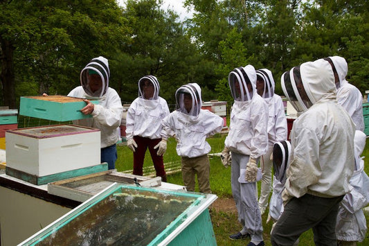 Corporate Beekeeping Programs by Eco Bee